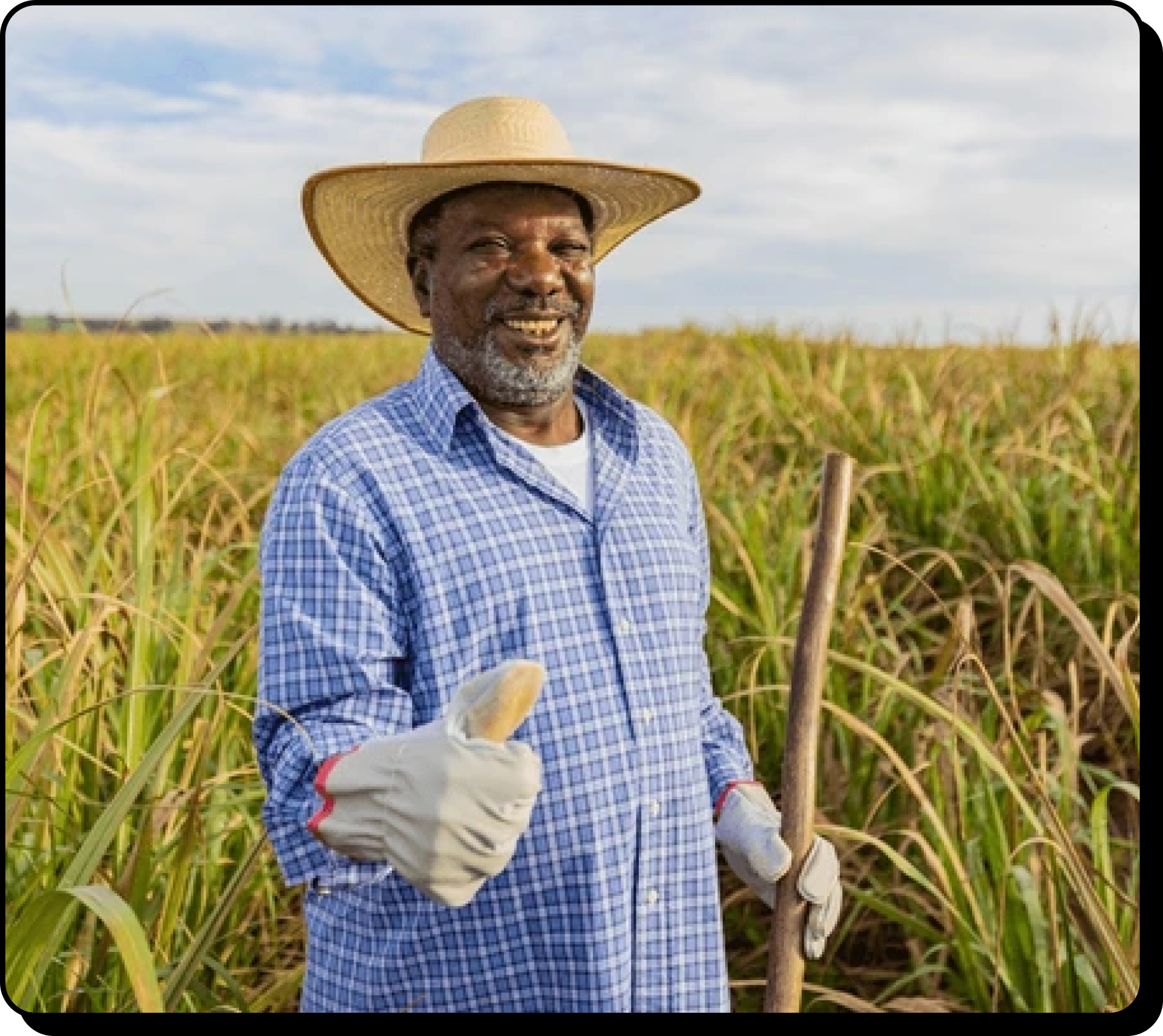 Happy farmer