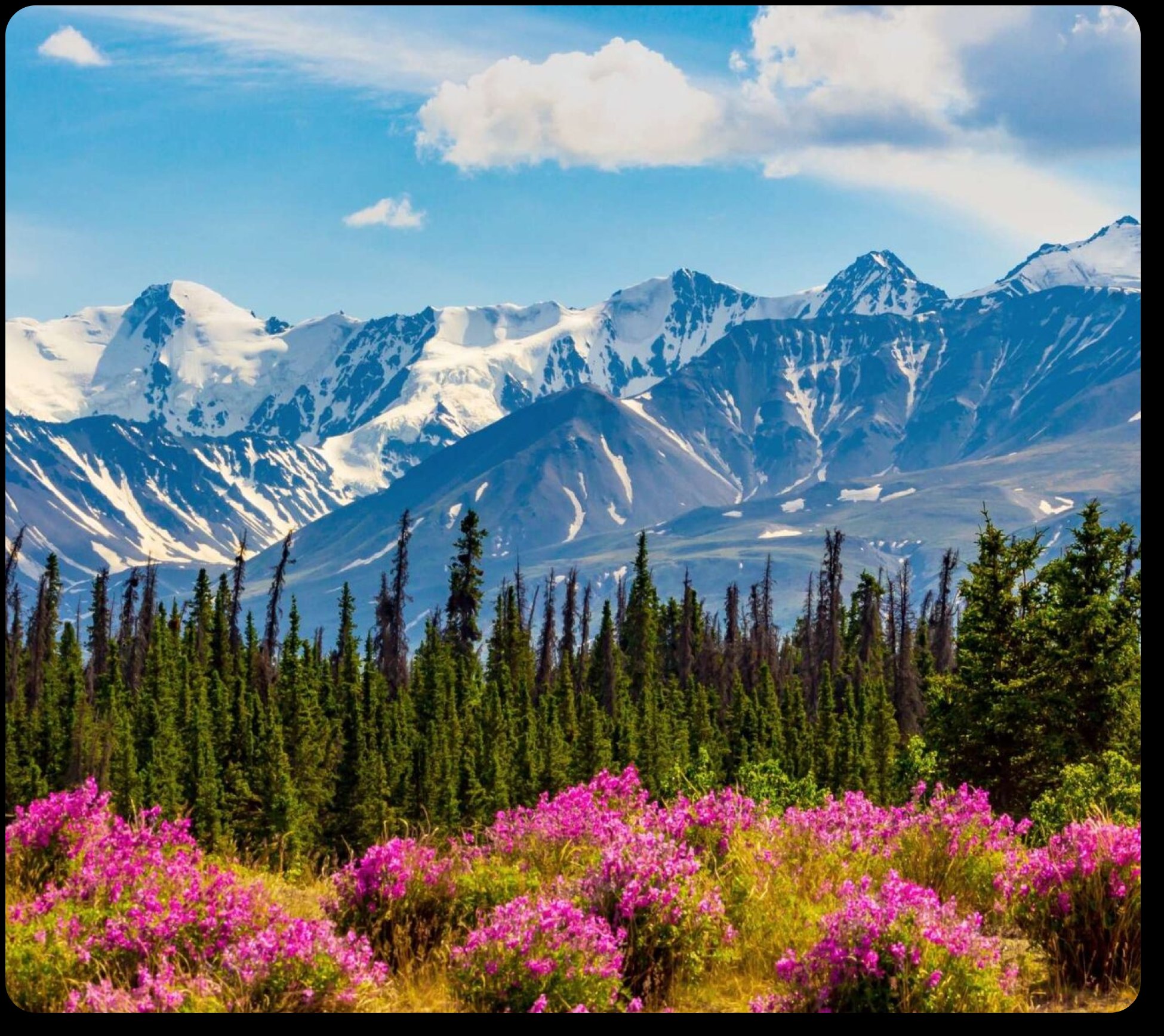 Beautiful Scenery